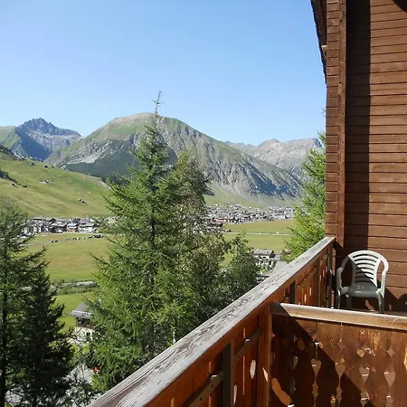 Betulla 利维尼奥