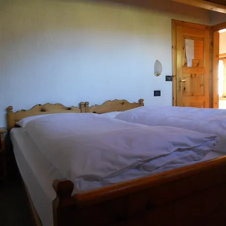 Betulla 利维尼奥