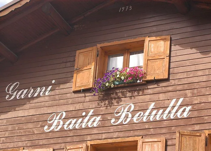 Hotel Betulla *